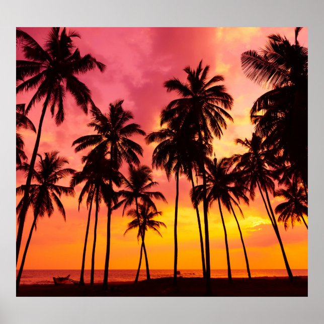 Poster Coucher de soleil tropical : Silhouette de palme s (Devant)