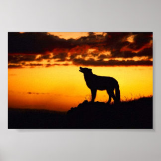 Poster Coucher de soleil Wofl