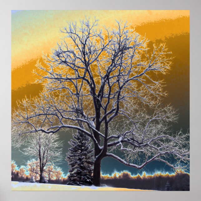 Poster Coucher du soleil (Devant)