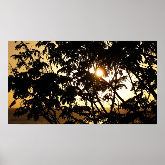 Poster Coucher du soleil à travers les arbres I Photograp (Devant)