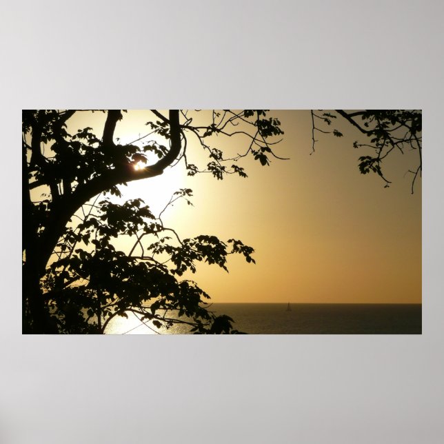 Poster Coucher du soleil à travers les arbres II Photogra (Devant)