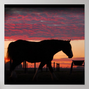 Poster Coucher du soleil de Clydesdale