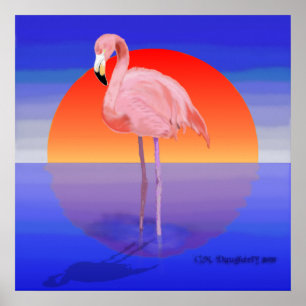 Poster Coucher du soleil de Flamant rose