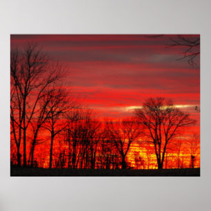 Poster Coucher du soleil de janvier