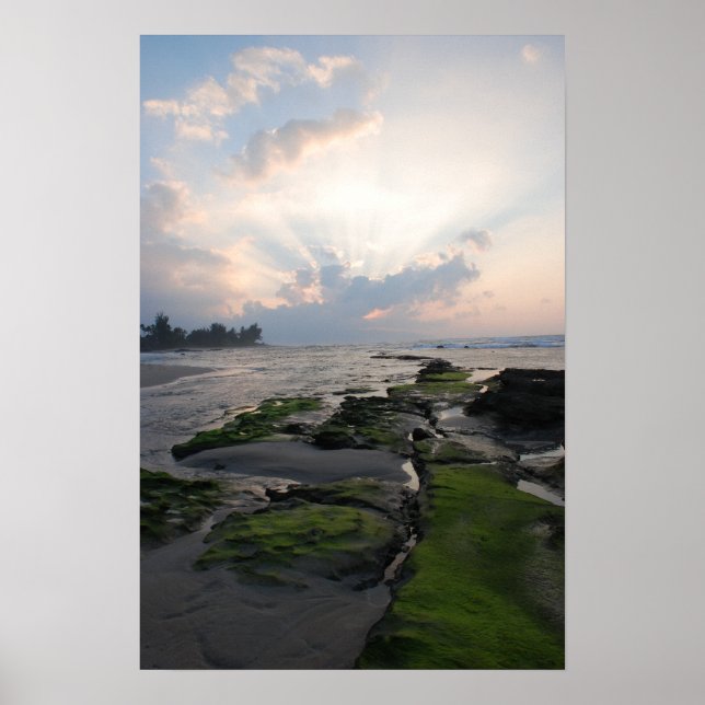 Poster Coucher du soleil de la côte nord (Devant)