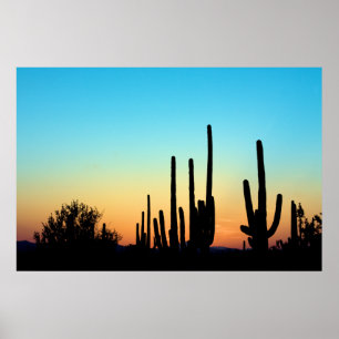Poster Coucher du soleil de Saguaro