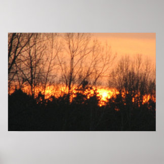 Poster Coucher du soleil derrière les arbres