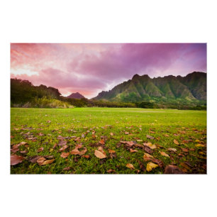Poster Coucher du soleil jurassique