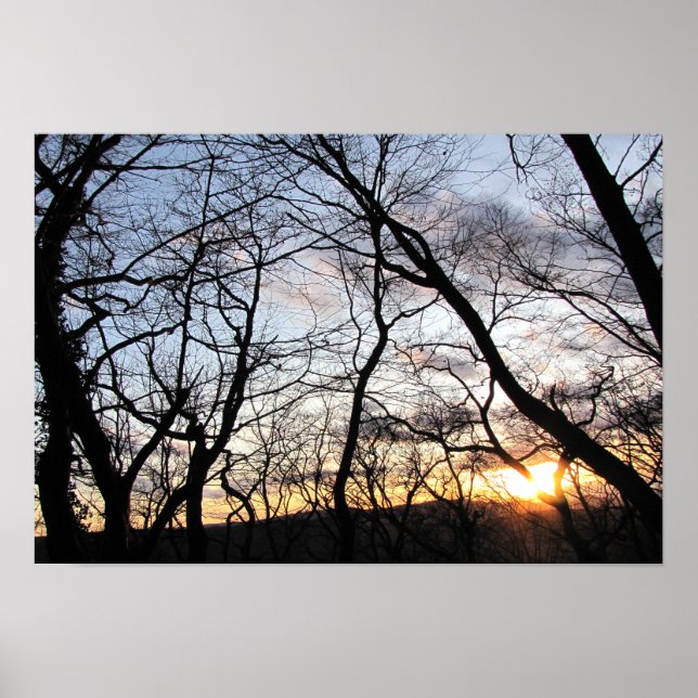 Poster Coucher du soleil par les branches (Devant)