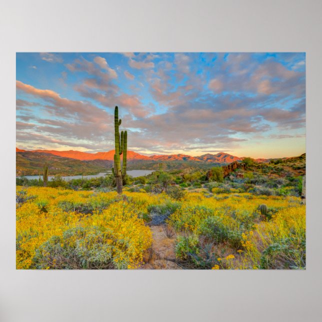 Poster Coucher du soleil sur le paysage désertique (Devant)