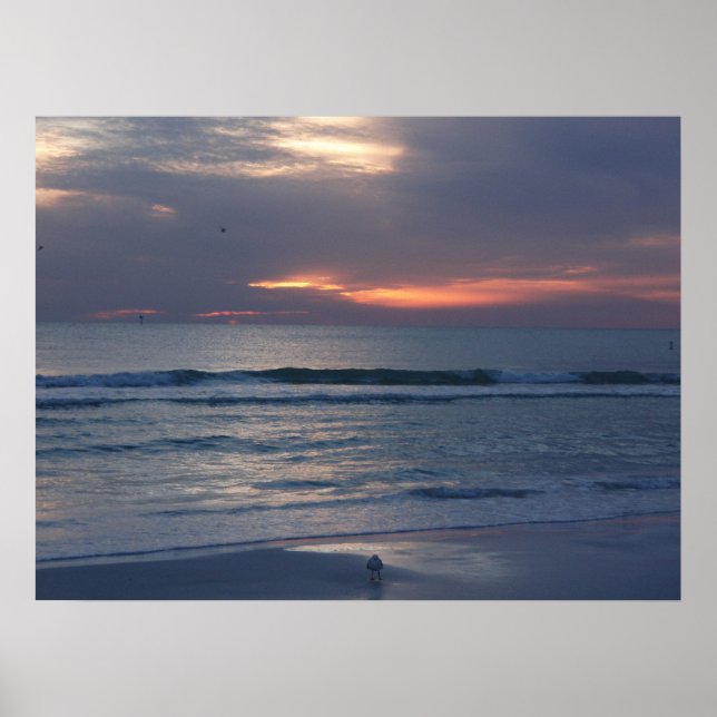 Poster Couchers de soleil de Siesta Key (Devant)