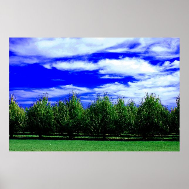 Poster Couches de la nature (Devant)