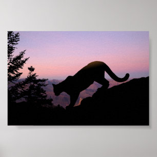 Poster Cougar et le Grand Canyon