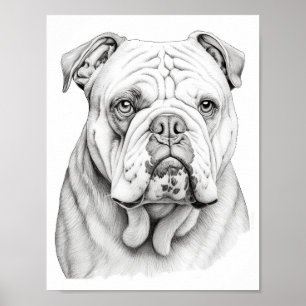Poster Couleur adulte de chien réaliste