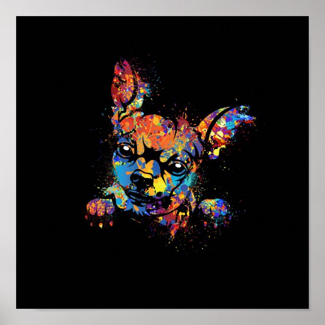 Poster Couleur Cute Chihuahua (Devant)