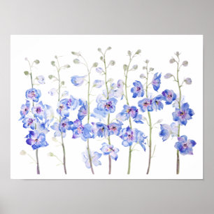 Poster couleur d'aquarelle du champ de delphinium de lark