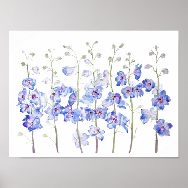 Poster couleur d'aquarelle du champ de delphinium de lark (Devant)