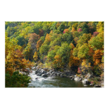 Couleur d'automne dans le parc d'état d'Ohiopyle