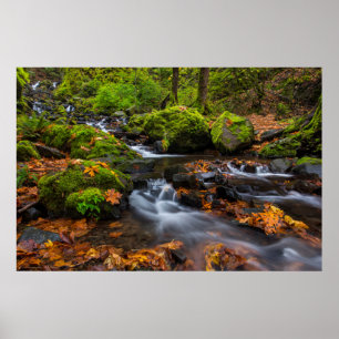 Poster Couleur d'automne le long des chutes de Starvation