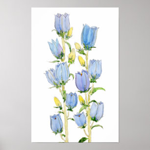 Poster couleur d'eau des cloches Canterbury bleues et vio