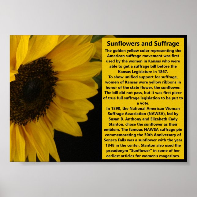 Poster Couleur du suffrage de tournesol Symbolisme 19e am (Devant)