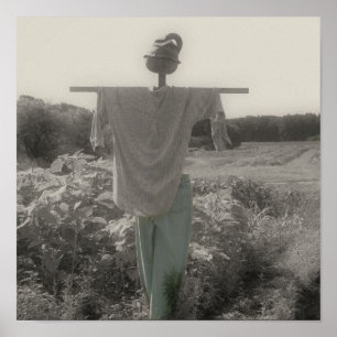 Poster Couleur partielle de l'éperon du jardin de campagn