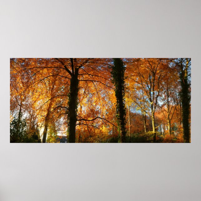 Poster Couleurs d'automne (Devant)