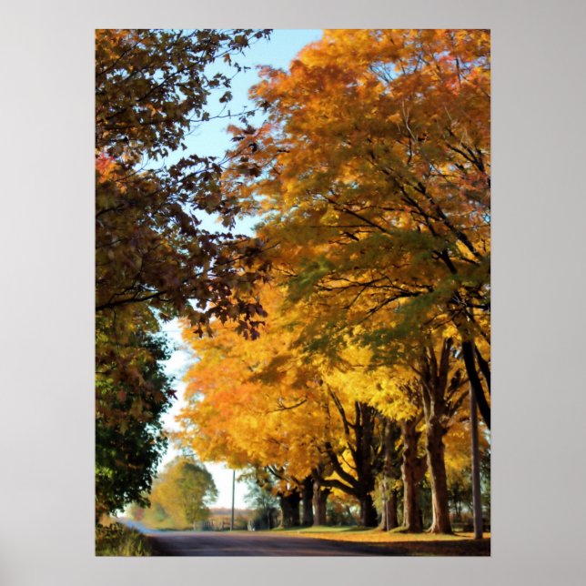 Poster Couleurs d'automne sur Country Road (Devant)