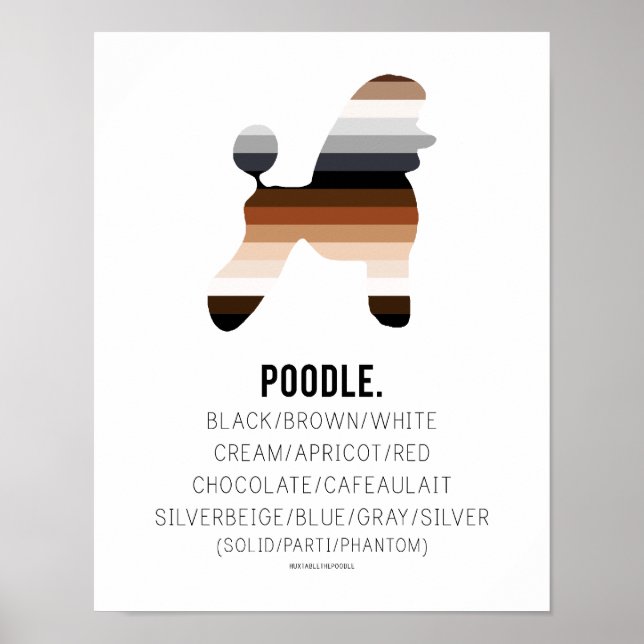 Poster Couleurs de caniche Imprimer par HUXSHOP (Devant)