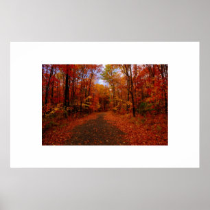 Poster Couleurs de chute