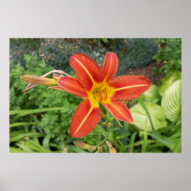 Poster couleurs de l'été (Devant)