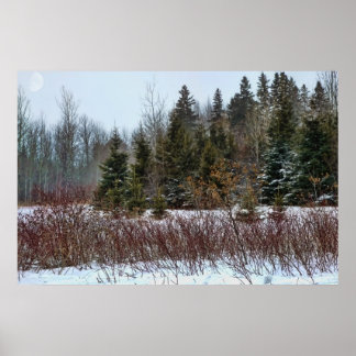 Poster Couleurs d'hiver