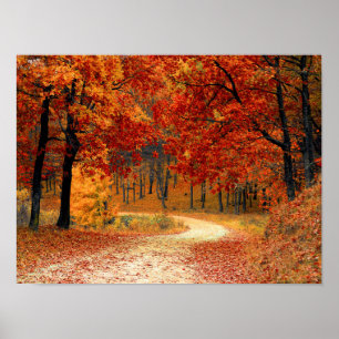 Poster Couleurs saisonnières de l'automne