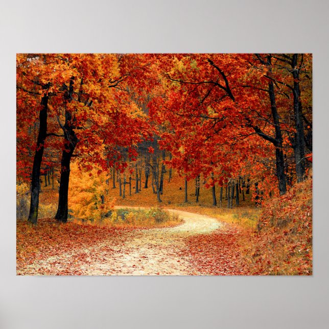Poster Couleurs saisonnières de l'automne (Devant)