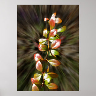 Poster Couleurs sur la perruque