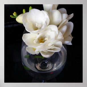 Poster coupe de nuit de freesia