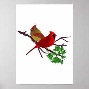 Poster Couple cardinal sur une branche