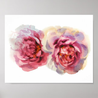 Poster couple de pivoines