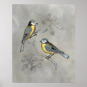 Poster Couples argentés d'oiseau de la volière  