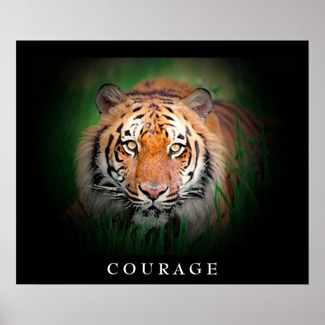 Poster Courage motivationnel Tiger Yeux (Devant)