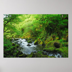Poster Courant au printemps