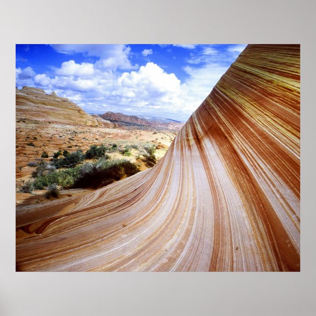 Poster Courbe (Devant)