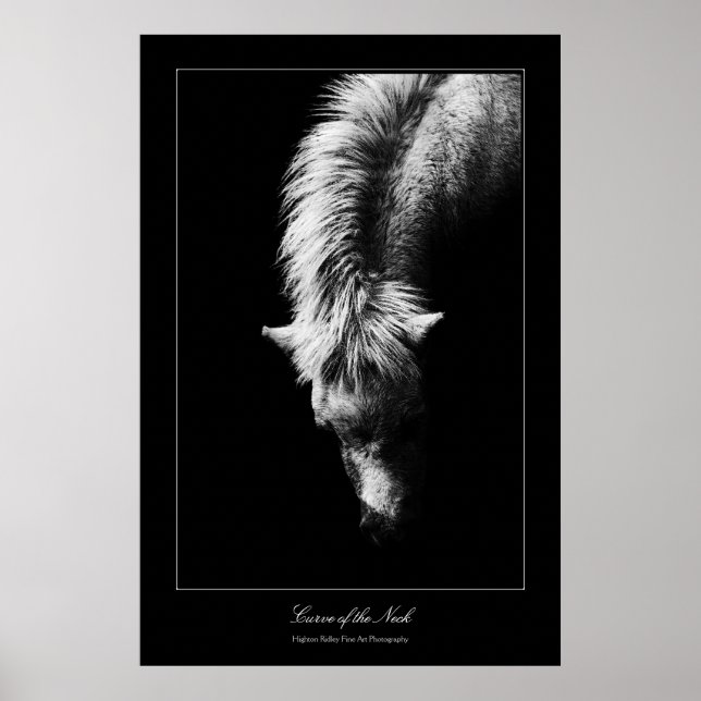 Poster Courbe D'Art Du Cou, style galerie (Devant)