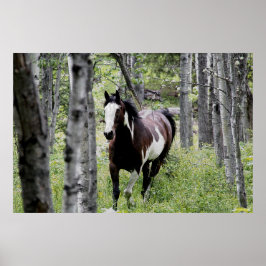 Poster Courir Pinto Peinture & Forêt Cheval Photo