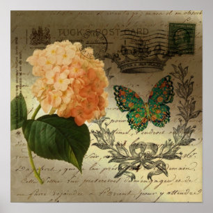 Poster Couronne papillon d'Hydrangea pays français