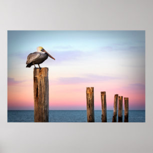 Poster Courriers et une plage du pélican   Fort Myers, la