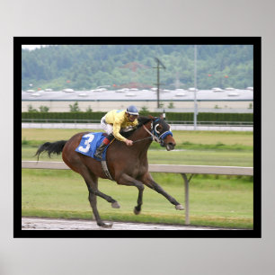 Poster Course de chevaux