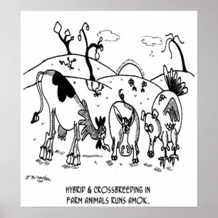 Poster Course de croisement Amok