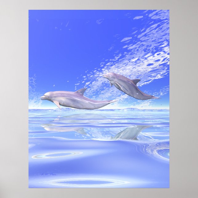 Poster Course des dauphins (Devant)
