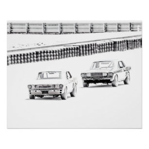 Poster Course du cheval